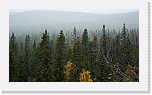 autum colors of taiga-4667 * 900 x 506 * (441KB)